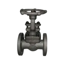 BOLTED BONNET STEEL GATE VALVE