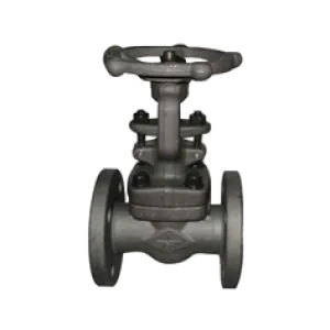 BMI 600 Product BOLTED BONNET STEEL GATE VALVE 1 bolted_bonnet_steel_gate_valve