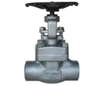 COMPACT STEEL GATE VALVE