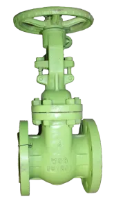 BMI 6D Product GATE VALVE 1 gate_valve