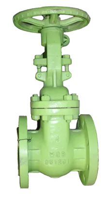 BMI 6D Product GATE VALVE 1 gate_valve