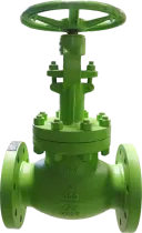 GLOBE VALVE