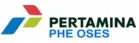 Client 41  Pertamina PHE OSES