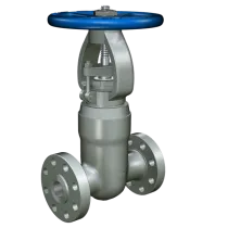 PRESSURE SEAL GATE VALVE